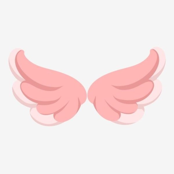 Розовые крылышки