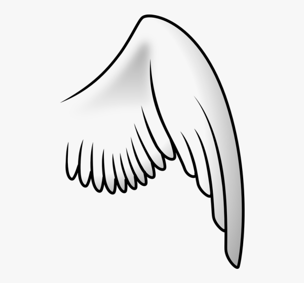 Маленькие крылышки ангела