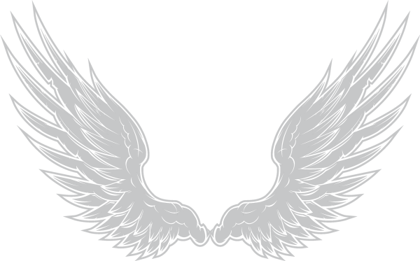 Белые Крылья на прозрачном фоне