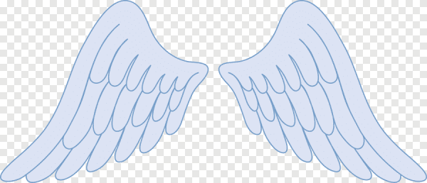 Ангельские крылышки
