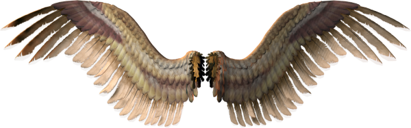 Коричневые Крылья