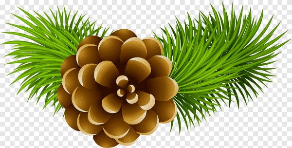 Шишка мультяшный