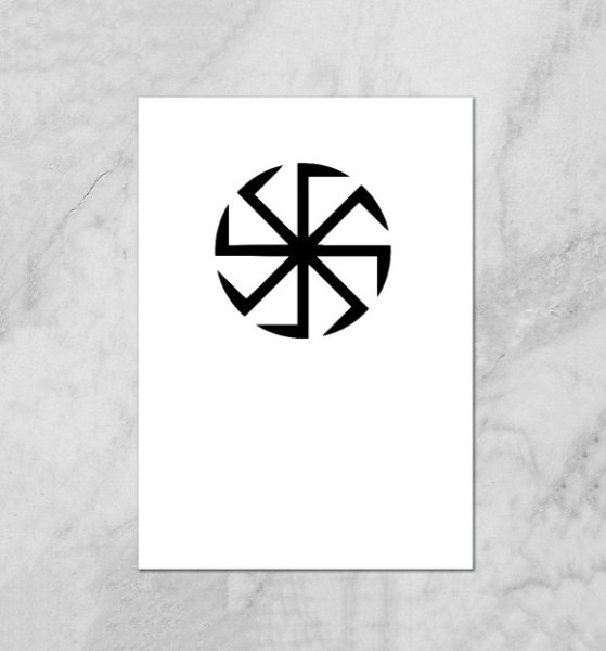 Коловрат белый