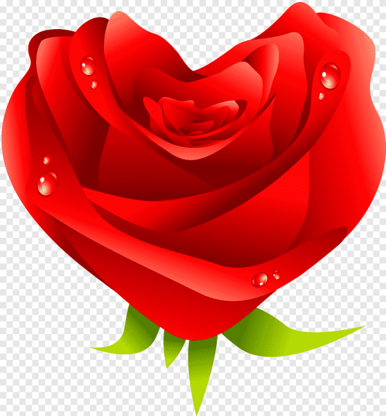 Стикеры розы