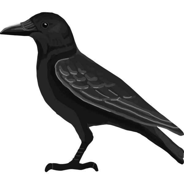 Силуэт Грача