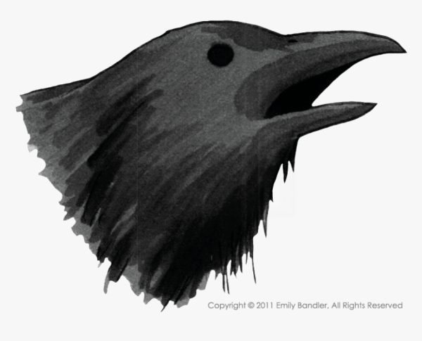 Рисунок вороны для детей