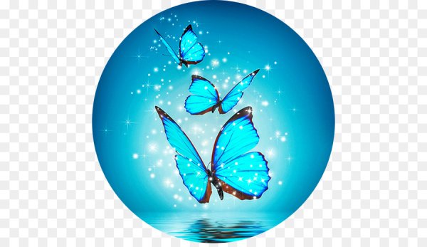 Голубая бабочка смайлик