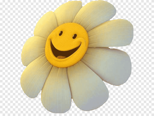 Ромашка с улыбкой