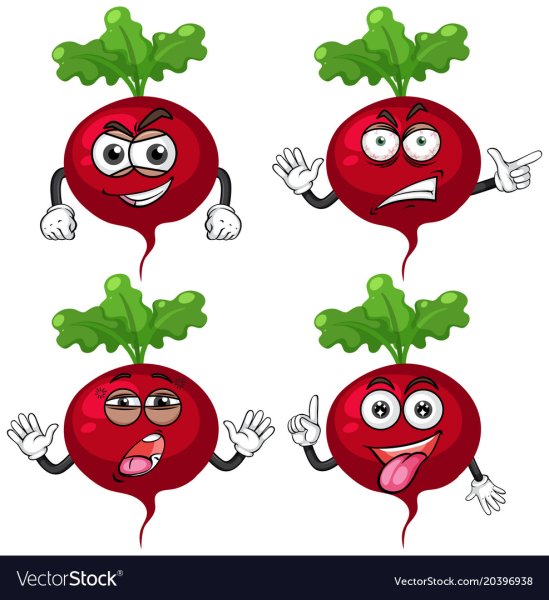 Пучок редиски вектор