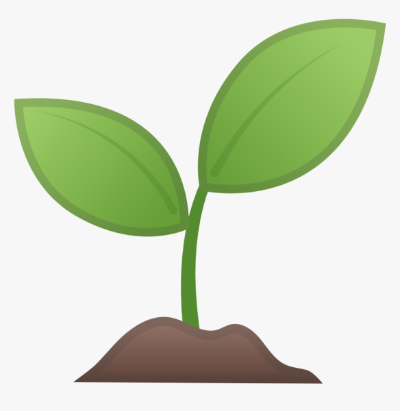 Смайлик растение