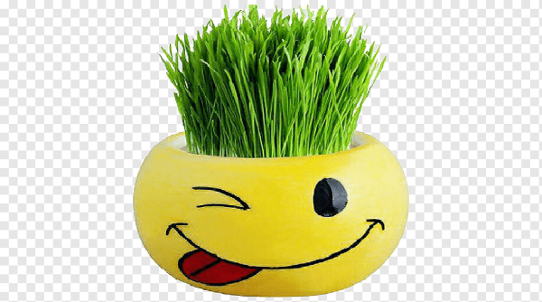 Смайл трава