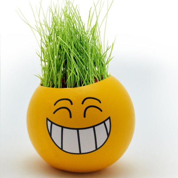Смайлик трава