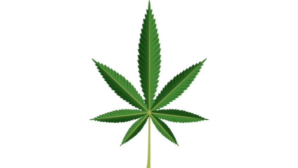 ЭМОДЖИ канабис