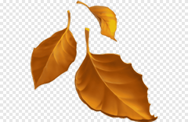 ЭМОДЖИ осенние листья