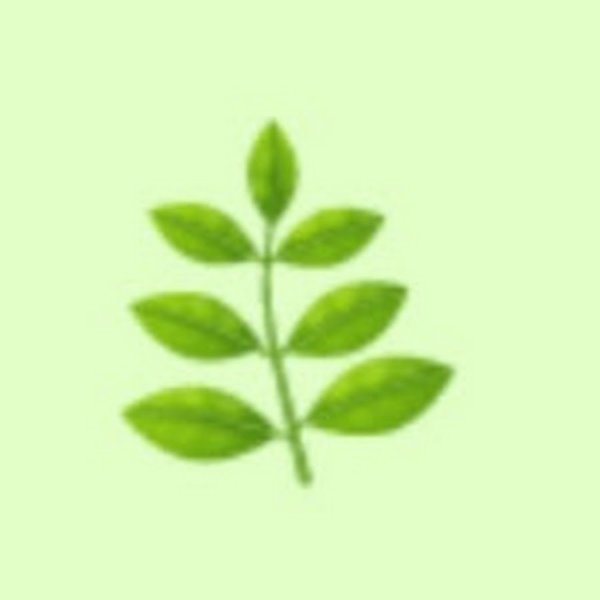 ЭМОДЖИ листик