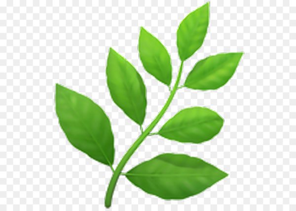 Трава эмодзи айфон