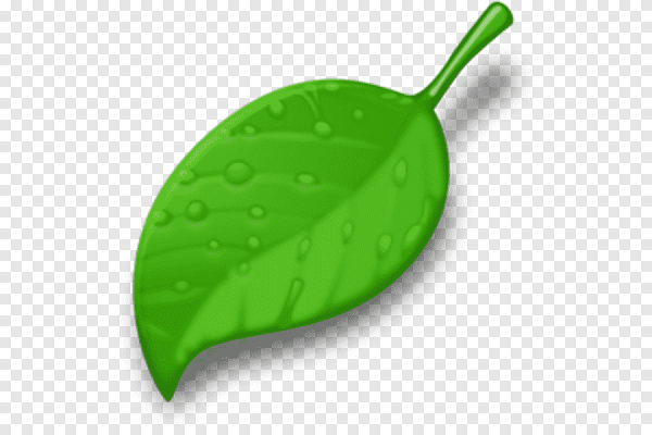 Листик зеленый мультяшный
