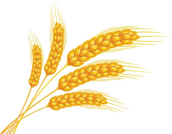 Хлебный колосок