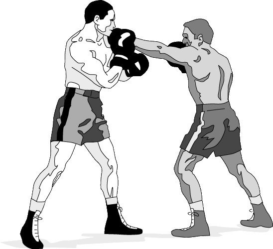Боксер рисунок