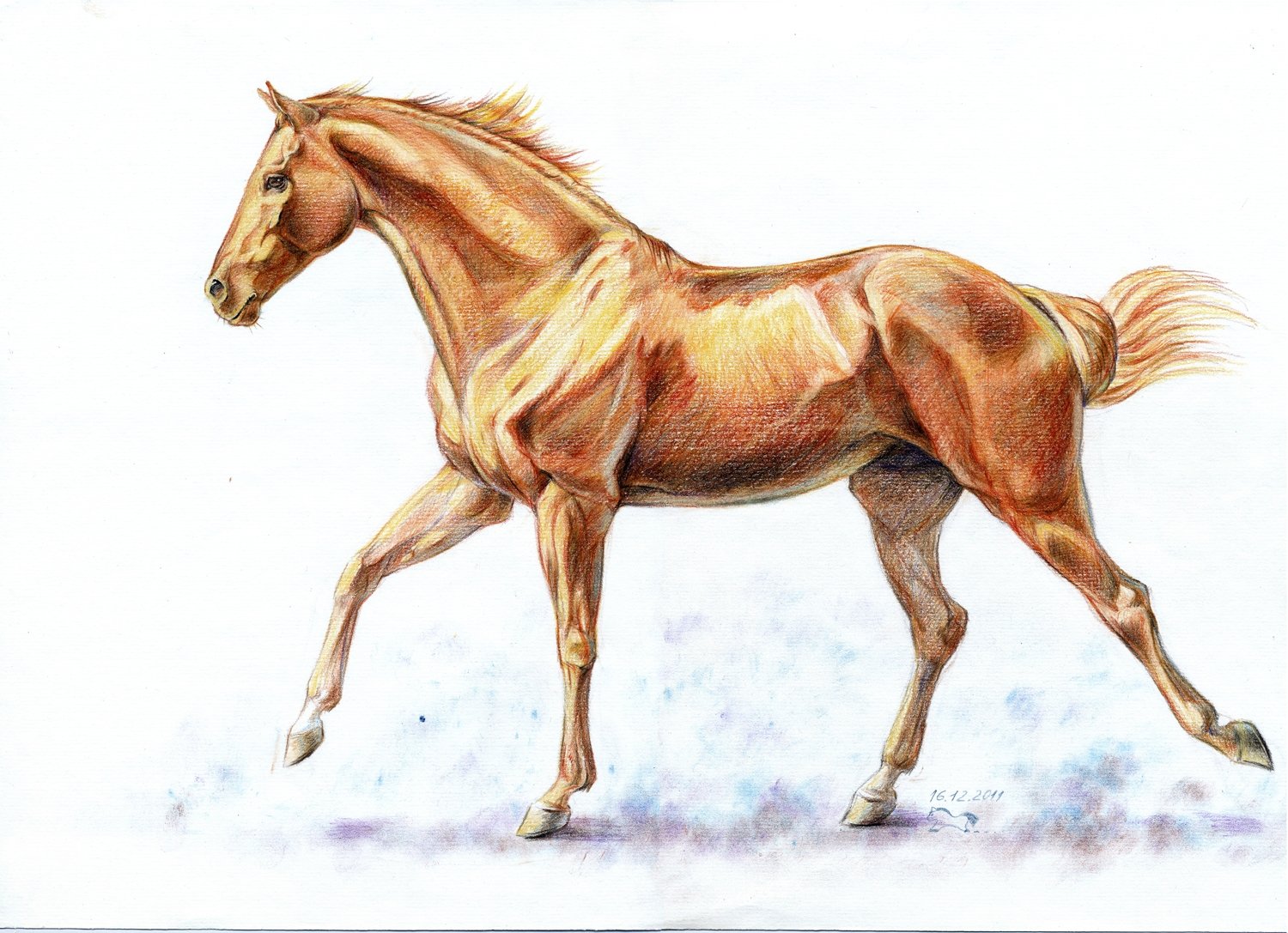 Лошадь рисунок цветной