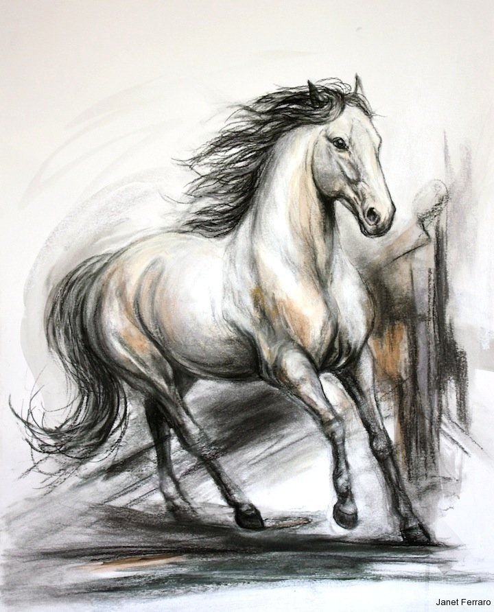 Красивые лошади для срисовки. Лошадь карандашом. Красивые рисунки лошадей карандашом. Лошадь рисунок карандашом. Рисунки лошадей для срисовки.