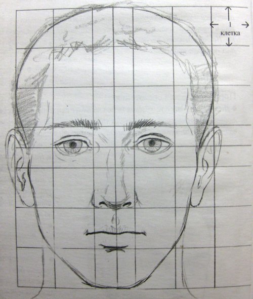 Зарисовки головы человека