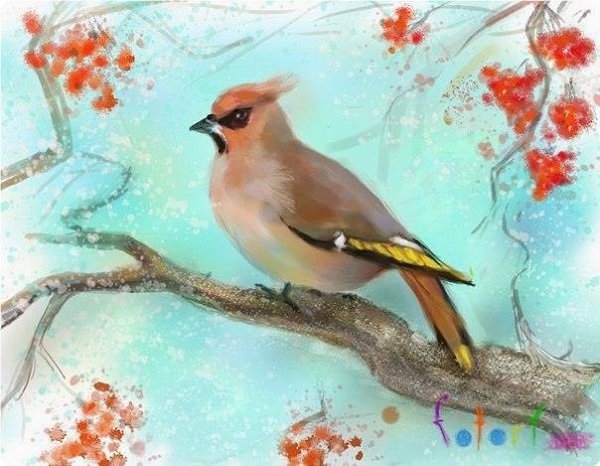 Свиристели мультяшные