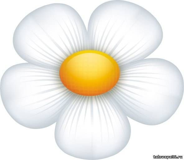 Ромашки мультяшные