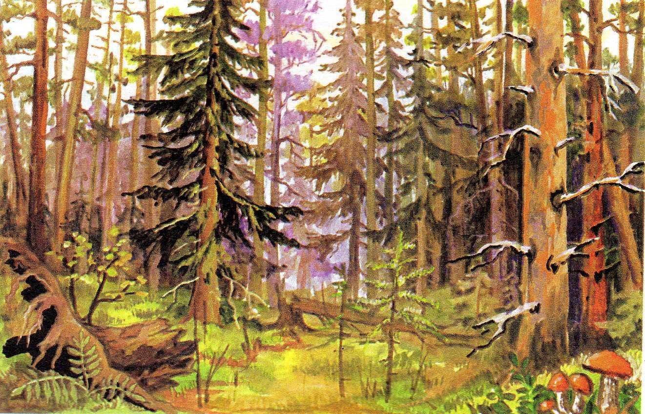 Голос леса для детей. Лес иллюстрация. Рисунок леса. Картина леса. Лес цветными карандашами.