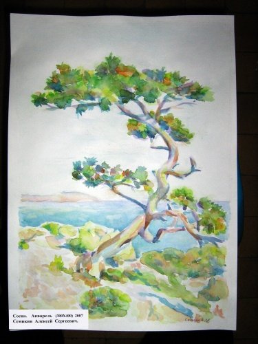 Сохраним можжевельники Крыма рисунки