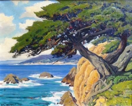 Можжевельник пейзаж