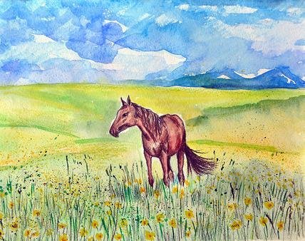 Гречишкин Цветущая степь