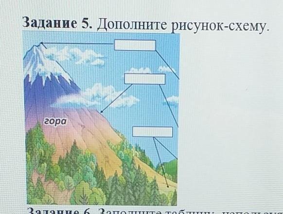 Дополни рисунок схему