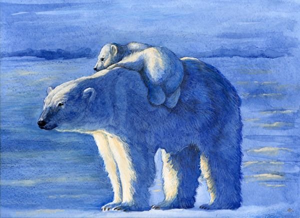 Нарисовать белого медведя