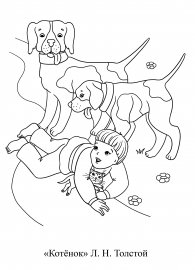 Толстой котенок