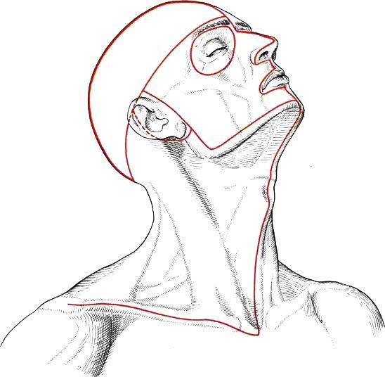 Линии разрезов кожи головы и шеи