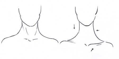 Нарисовать шею