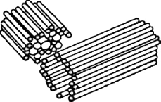 Клеточный центр рисунок биология схематично