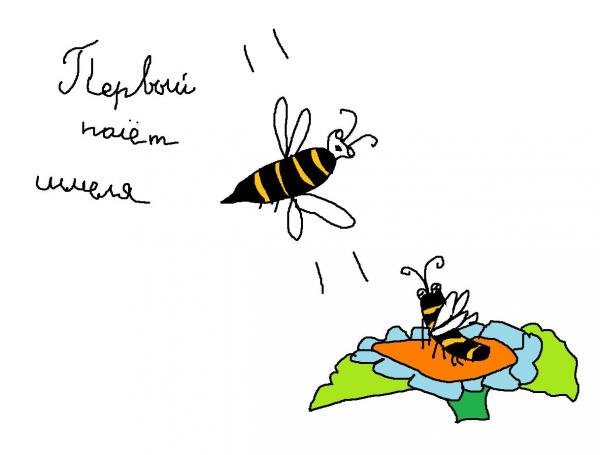 Полёт шмеля рисунок