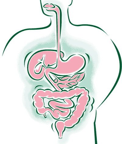 Патология органов пищеварения