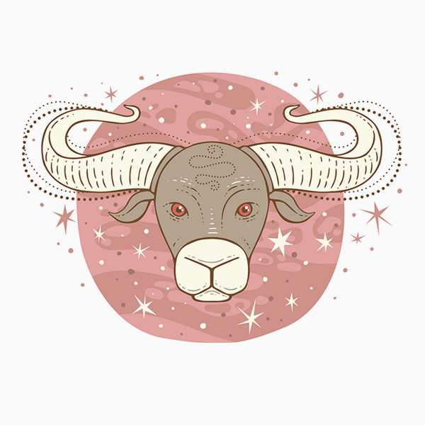 Телец рисунок