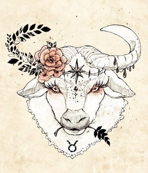 Тату Телец эскизы