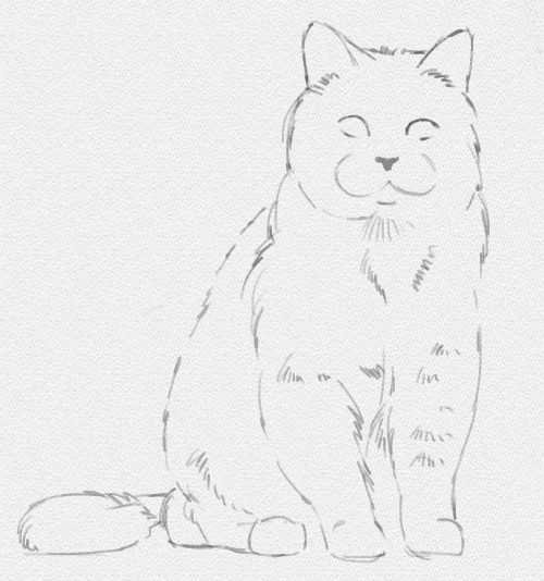 Кошка рисунок карандашом