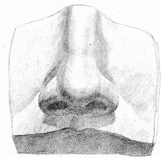 Нос Давида схема