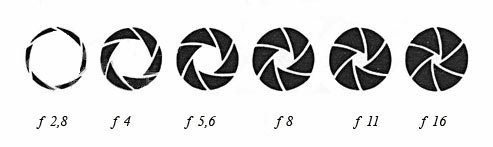 Диафрагма рисование