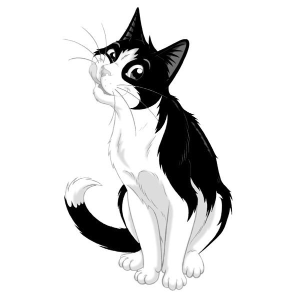 Кот Феликс из рекламы