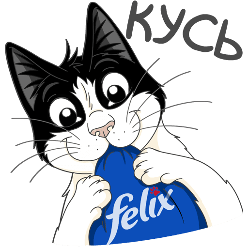 Кот Феликс из рекламы корма