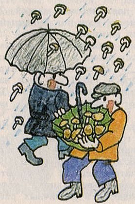 Грибной дождь фразеологизм