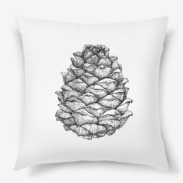 Кедровая шишка логотип