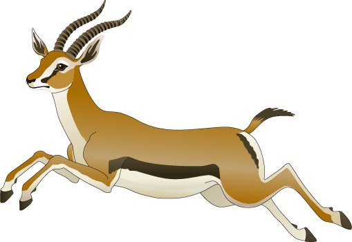 Газель животное для детей
